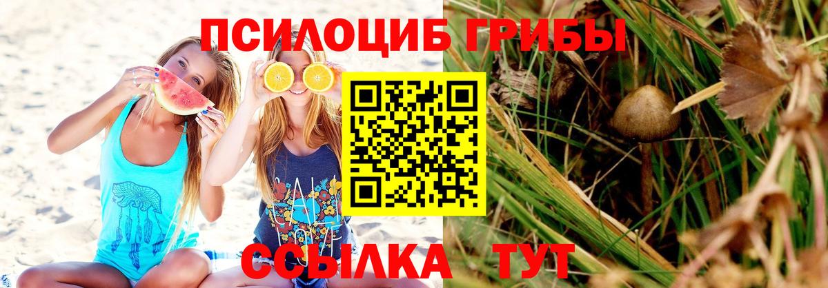 Псилоцибиновые грибы Magic Shrooms Железногорск