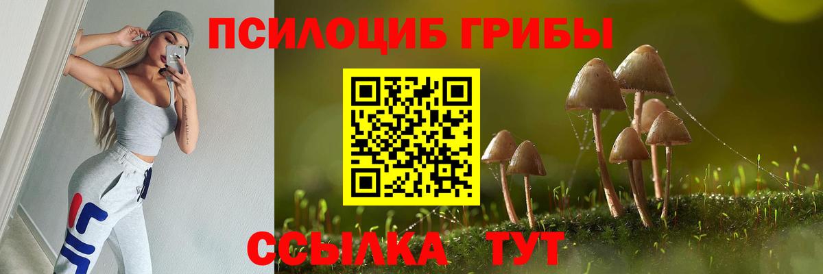 Галлюциногенные грибы ЛСД  Вход с VPN  Железногорск  Галлюциногенные грибы MAGIC MUSHROOMS 